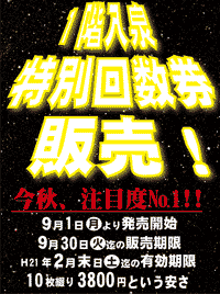 特別回数券2008